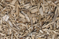biomass boilers Tickencote